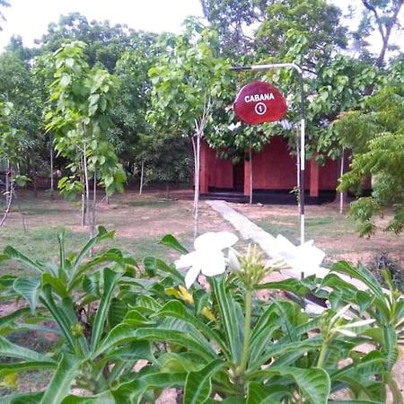 Lavish Eco Jungle Tissamaharama Exterior foto