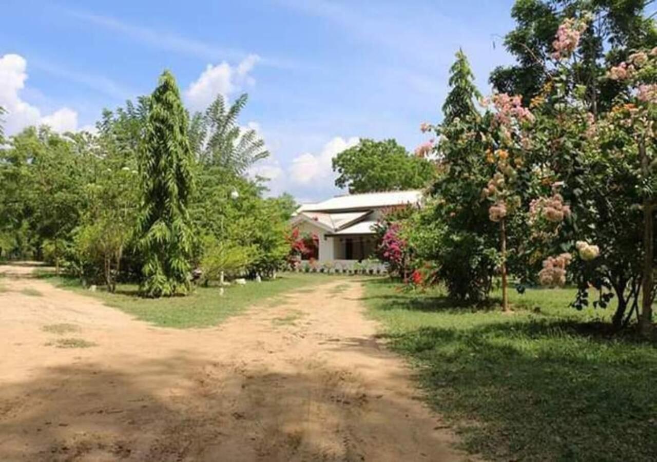 Lavish Eco Jungle Tissamaharama Exterior foto