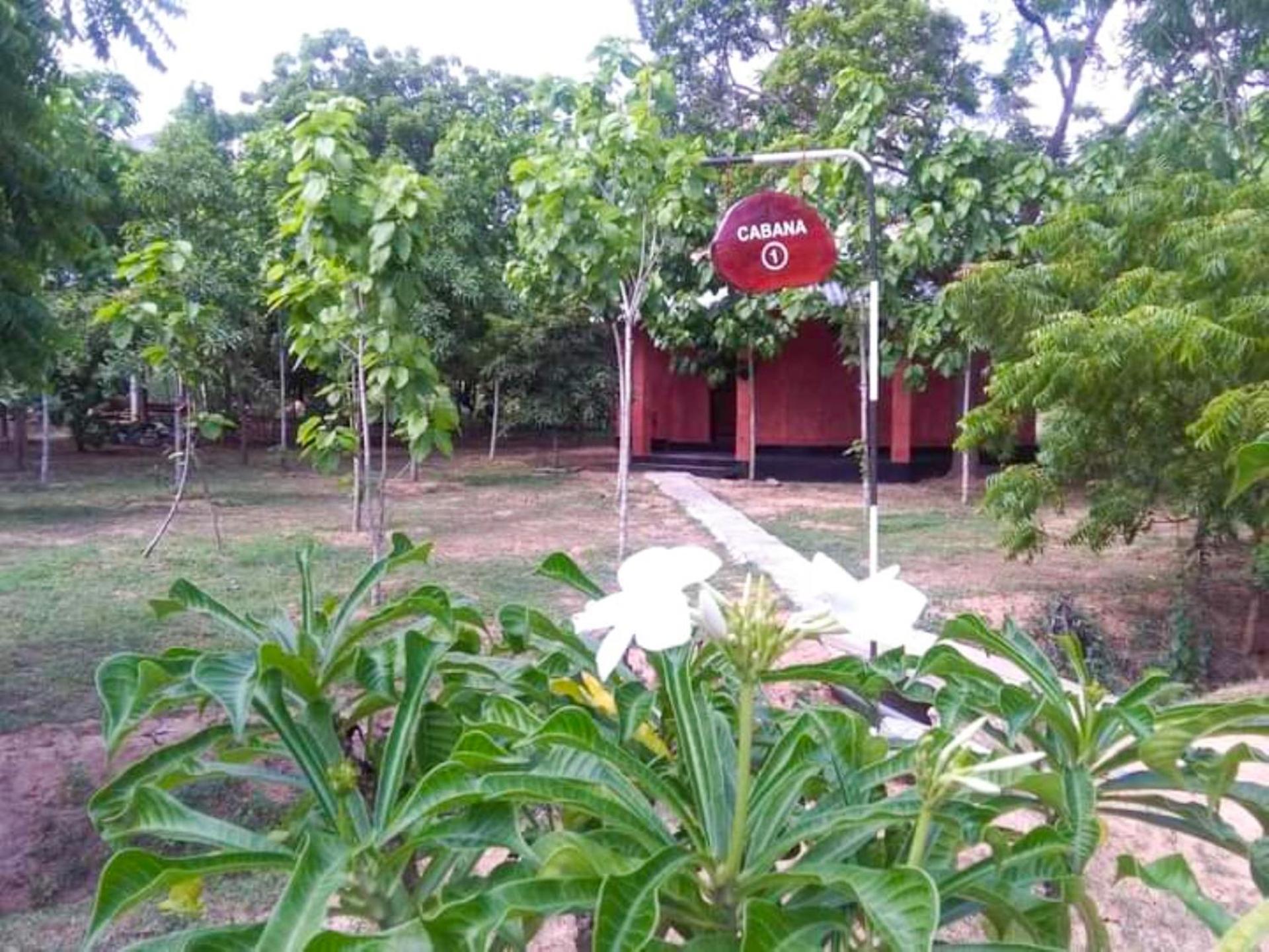 Lavish Eco Jungle Tissamaharama Exterior foto