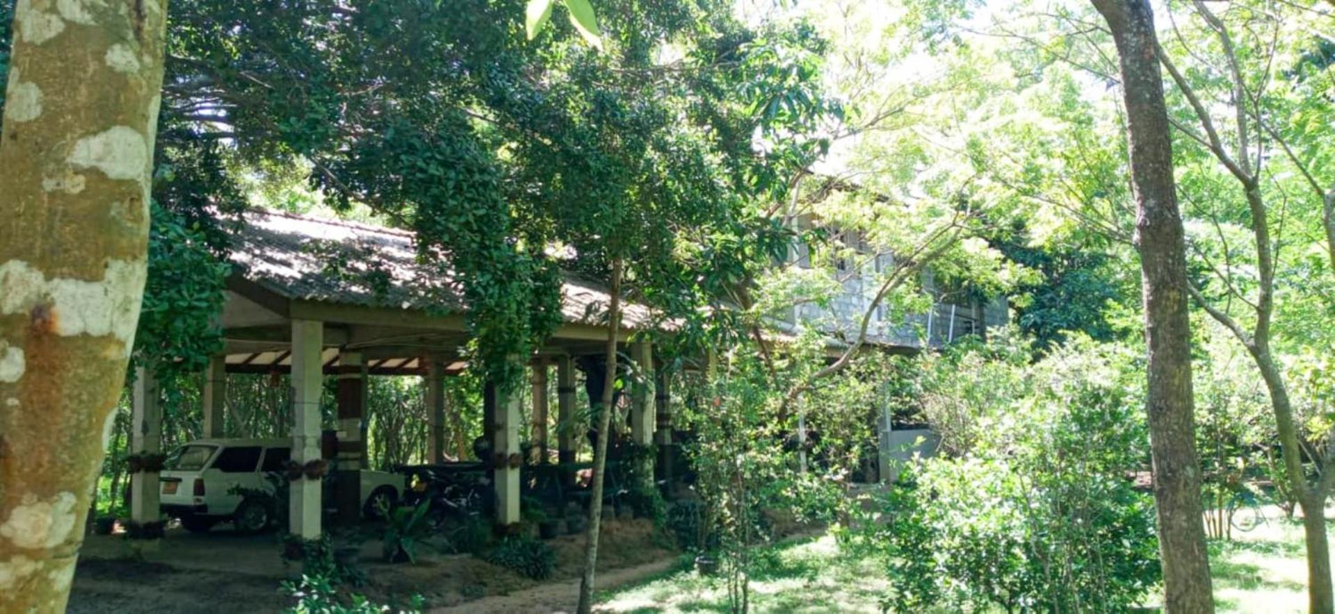 Lavish Eco Jungle Tissamaharama Exterior foto