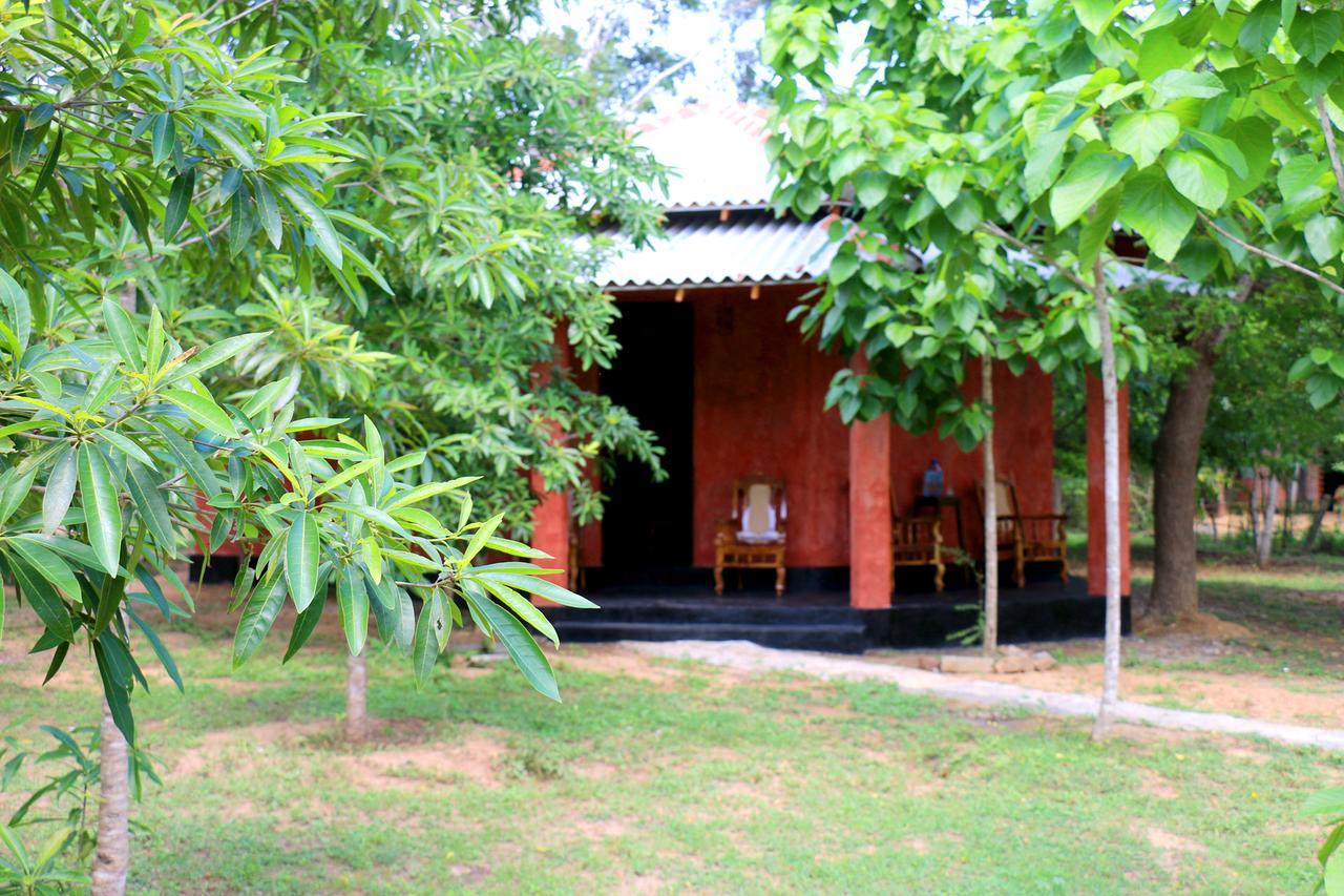 Lavish Eco Jungle Tissamaharama Exterior foto