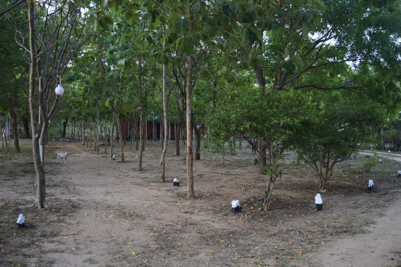 Lavish Eco Jungle Tissamaharama Exterior foto