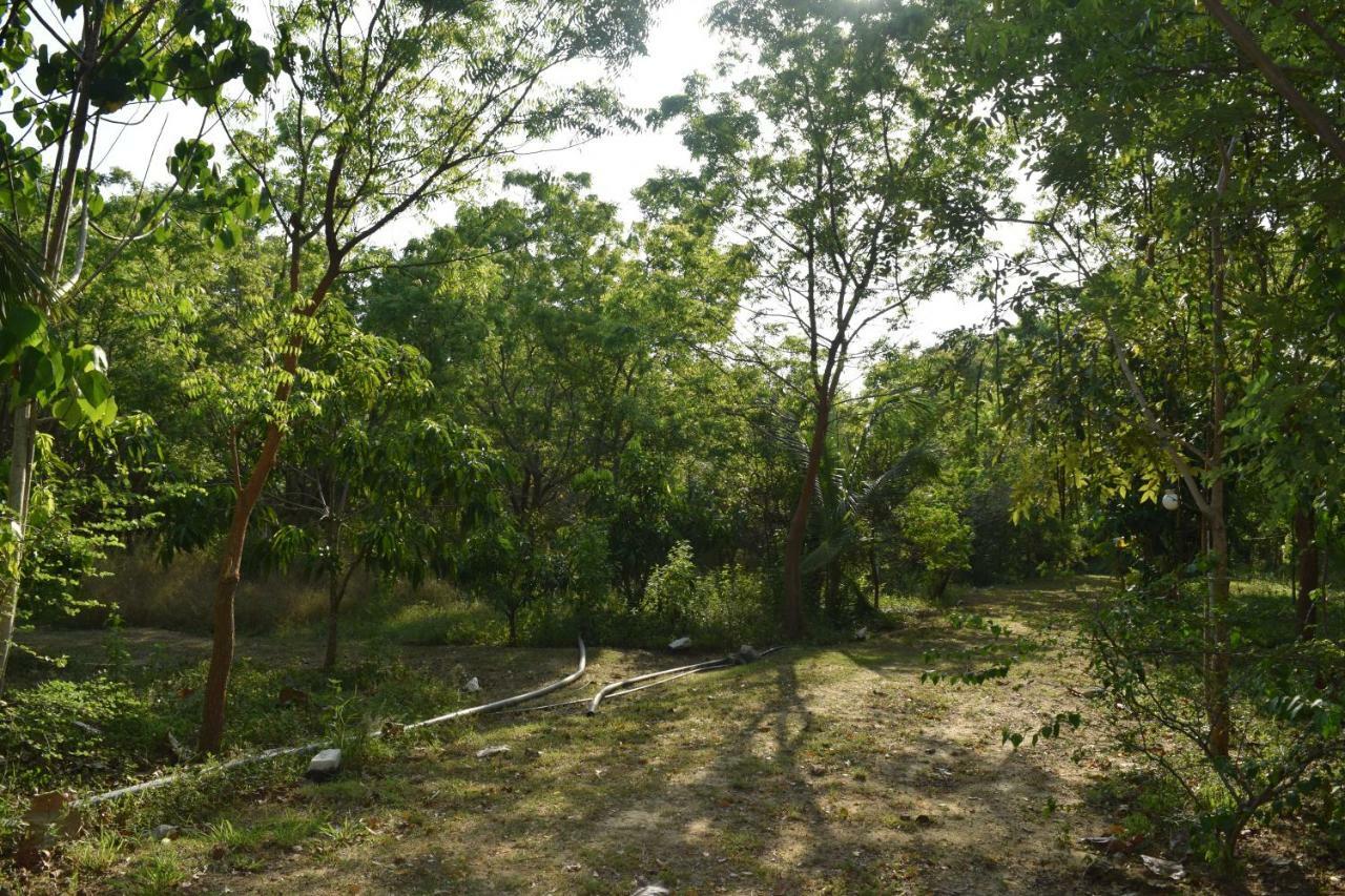 Lavish Eco Jungle Tissamaharama Exterior foto