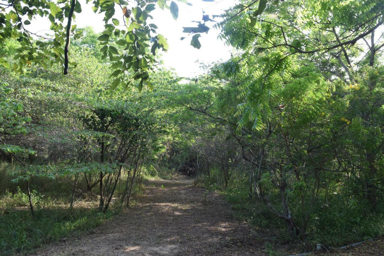 Lavish Eco Jungle Tissamaharama Exterior foto