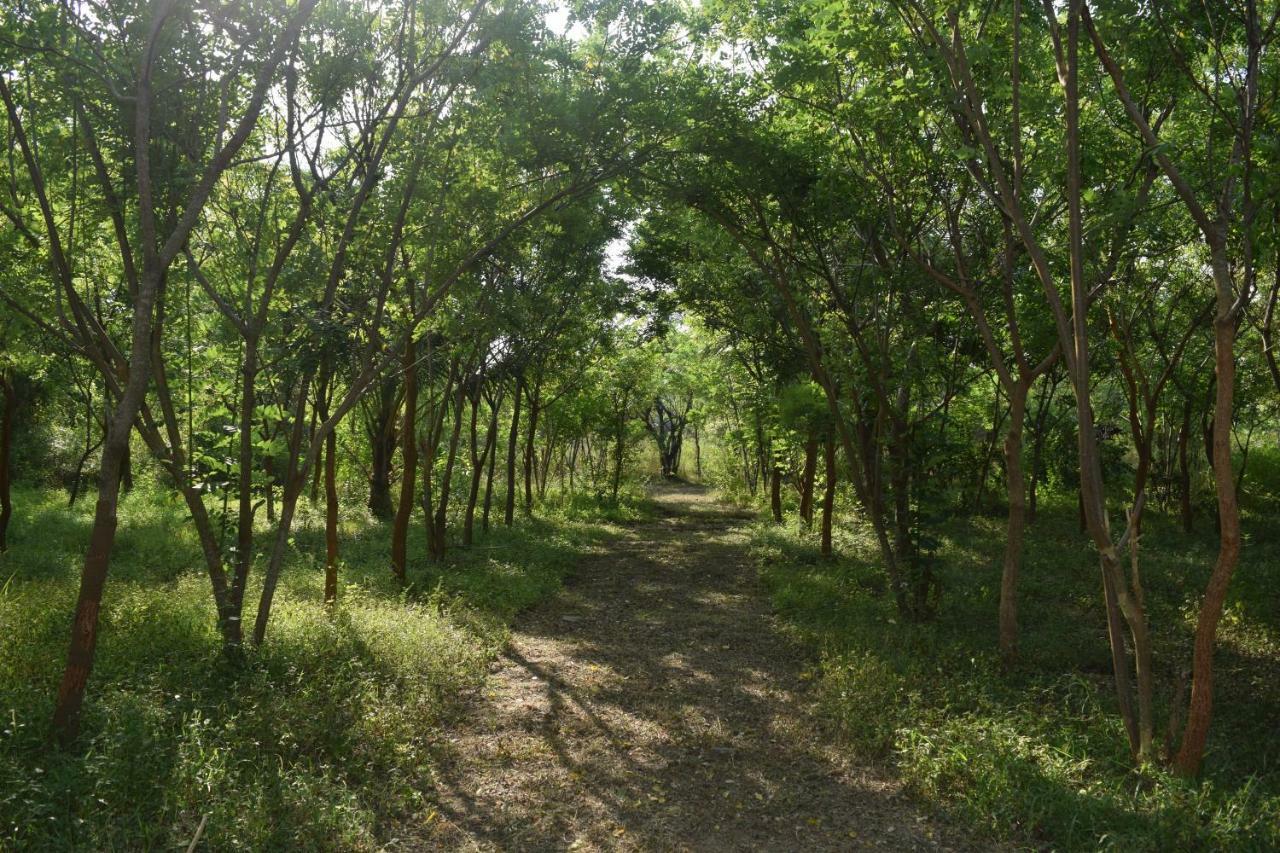 Lavish Eco Jungle Tissamaharama Exterior foto
